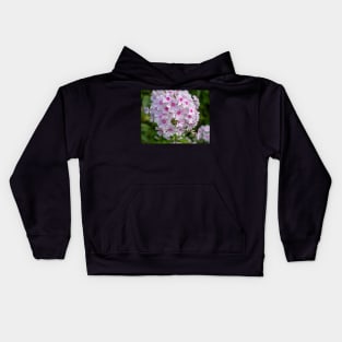 Beautiful White And Pink Centred Phlox Paniculata Flower Kids Hoodie